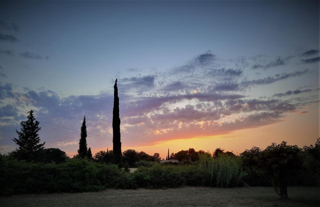 La Maison Du Chemin Des Prairies Morieres-les-Avignon Buitenkant foto